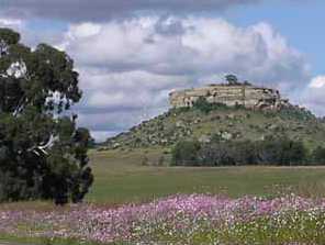 Cosmos in the Free State