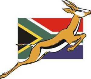 Springbok Rugby