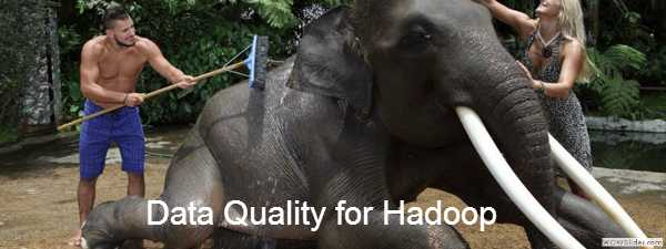 Big Data Quality for Hadoop