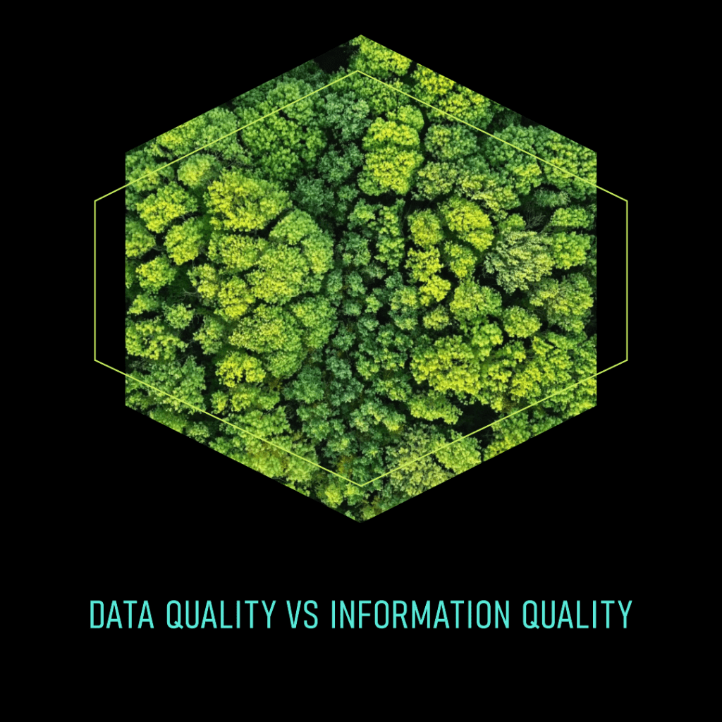 data quality vs information quality