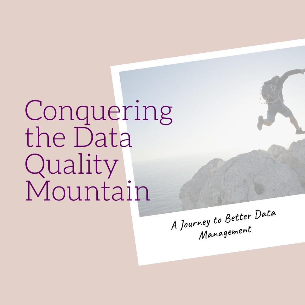 conquering data quality